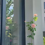 Garden Apartment Self Check-In - Bezkluczowy Kropka Pl Appartement *