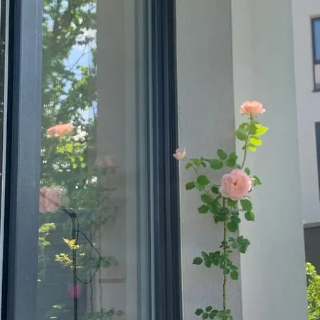 Garden Self Check-in - Bezkluczowy Kropka Pl Lägenhet *