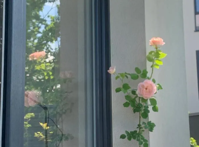 Garden Self Check-in - Bezklucz Kropka Info Appartement *